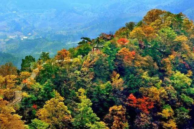 四虎最新探险之旅，追寻自然美景，探寻内心平和之地