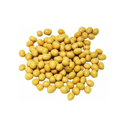 科技重塑农业,最新黄豆价格与数字新纪元之旅