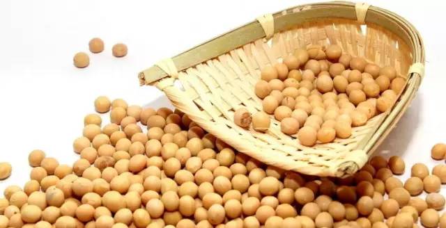 科技重塑农业,最新黄豆价格与数字新纪元之旅