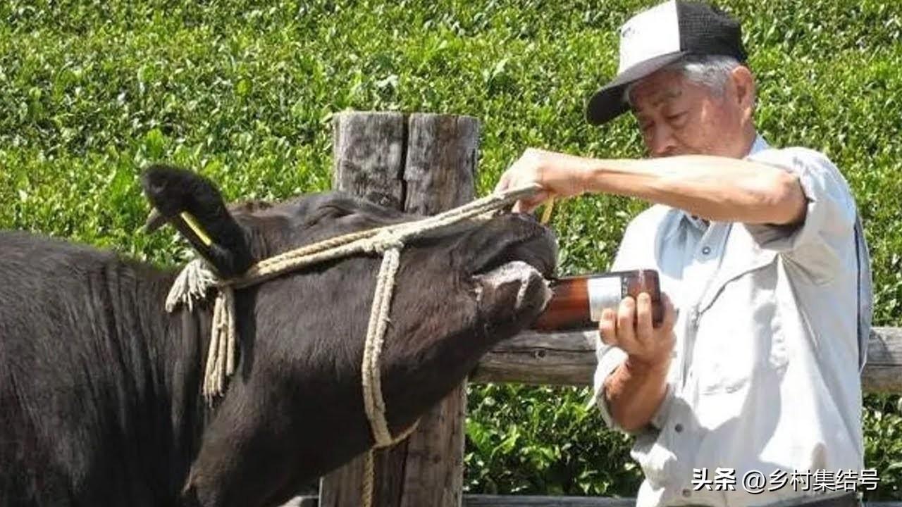 上海禾辉信息 第353页