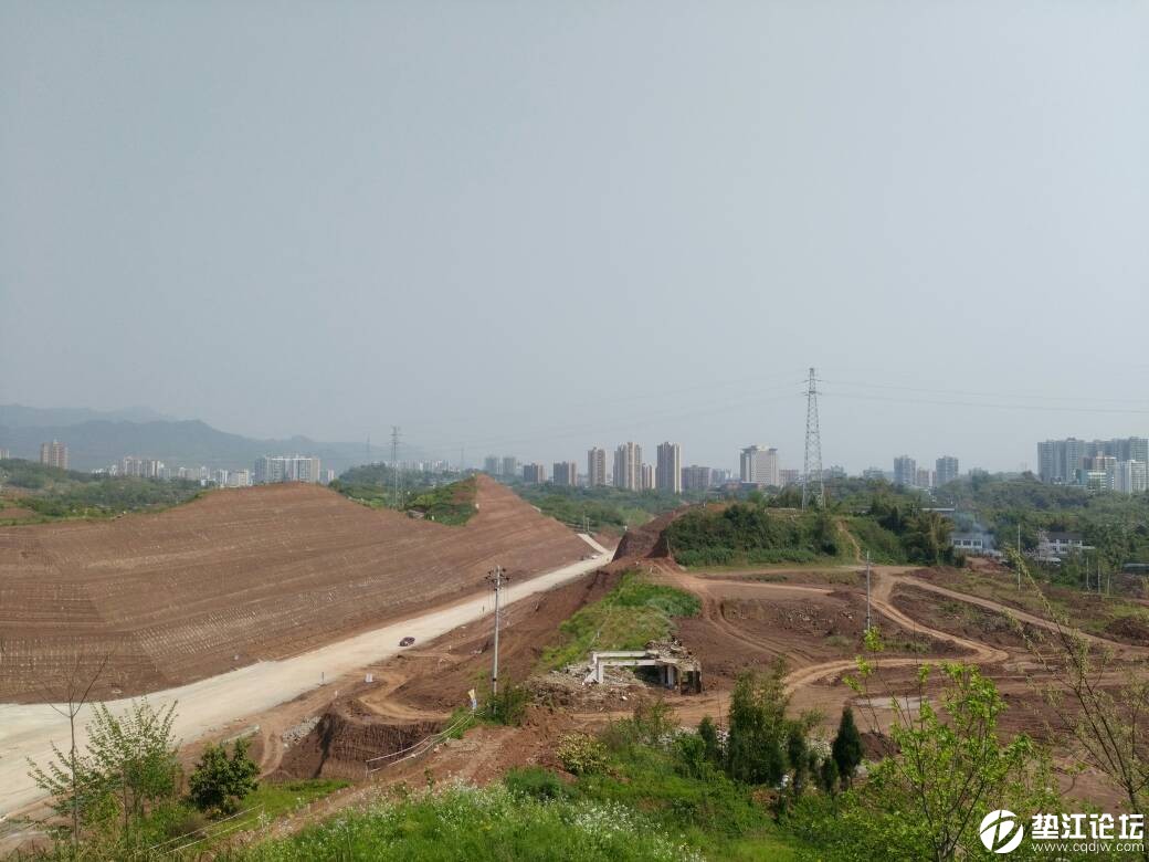 垫江最新动态更新,最新消息汇集