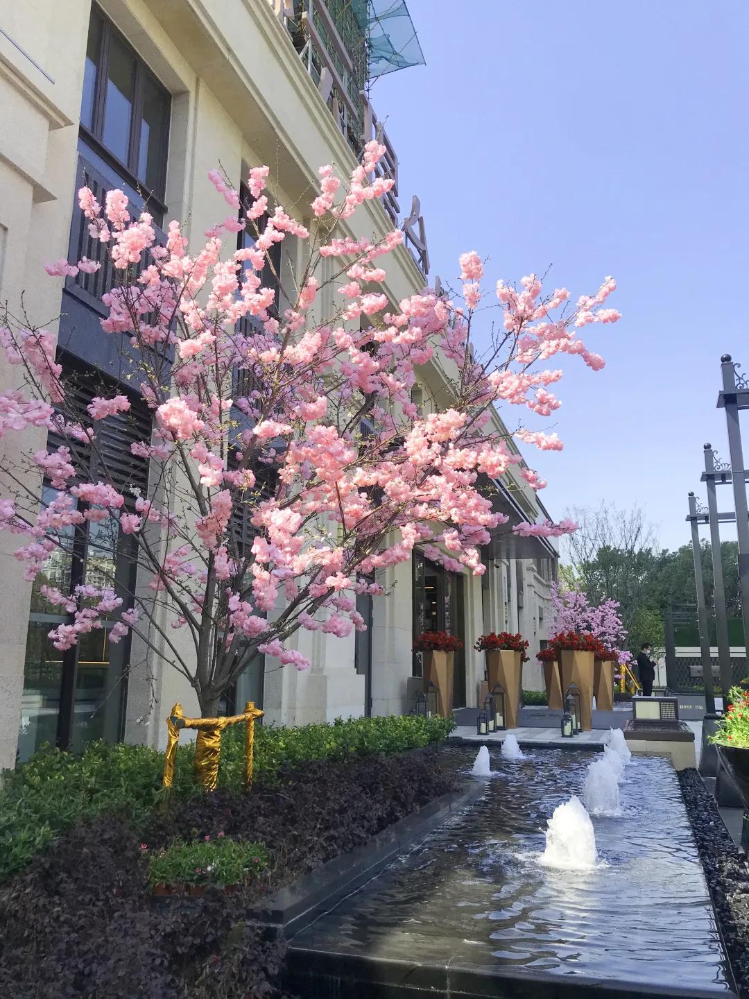 昆山最新房价动态，变化中的风景与学习力量驱动发展
