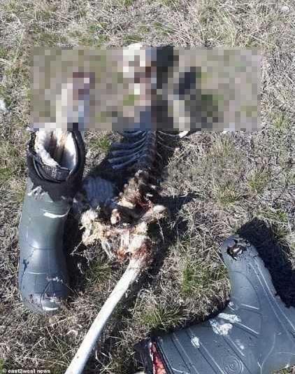 最新一周天气,自然美景的探索与心灵平静的追寻