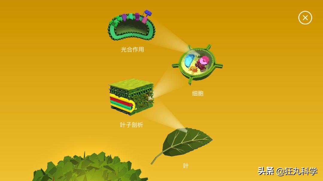 苹果最新资讯，爱的果实融入温馨日常