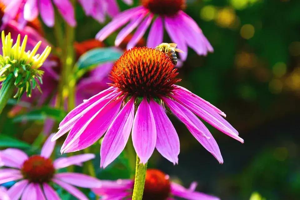 最新校园新闻,探索自然美景之旅,寻找内心的平和宁静