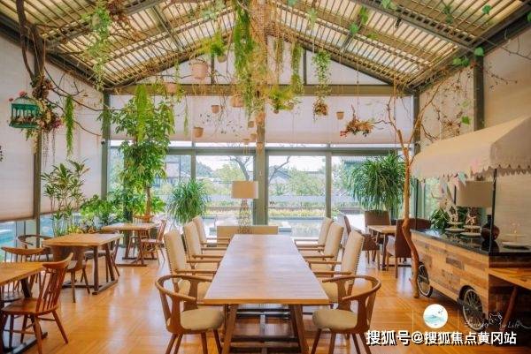 蓝依最新，引领时尚潮流的新势力标杆