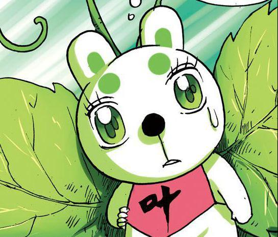 聚焦兔子帮最新动态,深度解析最新进展与要点