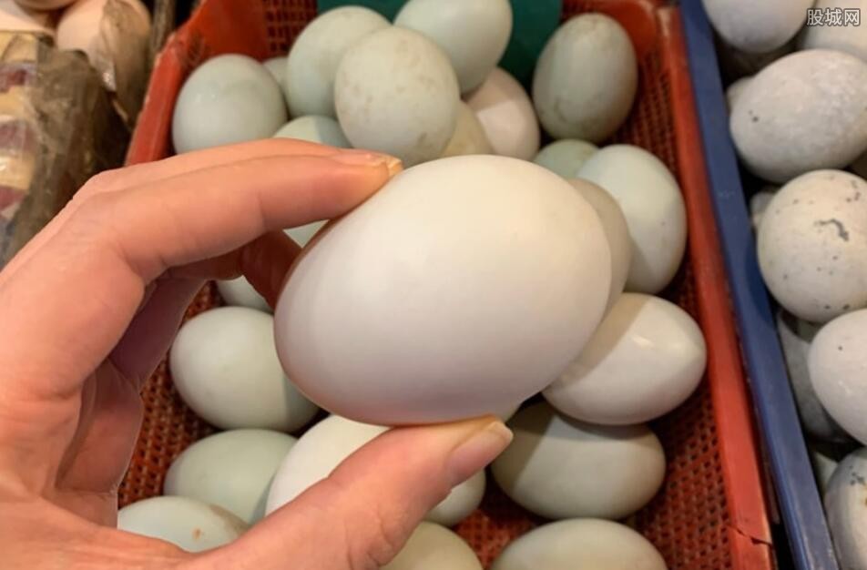 最新鸭蛋价格揭秘,新鲜鸭蛋价格大公开🥚💖