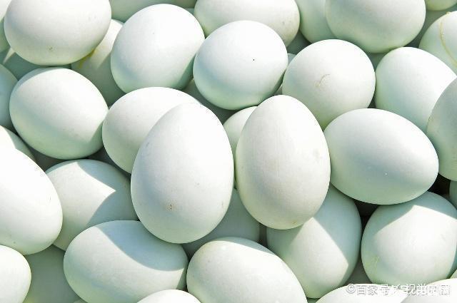 最新鸭蛋价格揭秘,新鲜鸭蛋价格大公开🥚💖