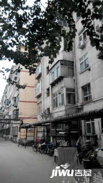 最新石油调整,巷弄深处的独特油香揭秘