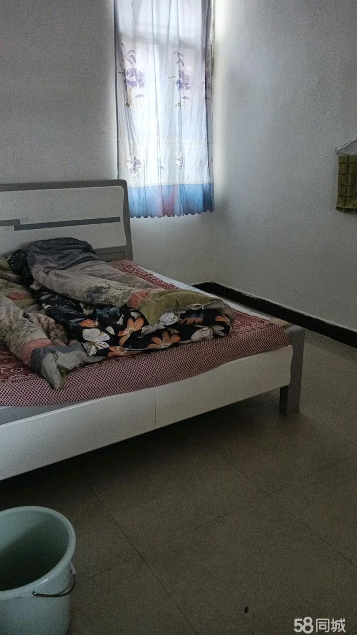 上犹租房最新动态，追梦路上的蜕变与自信之旅