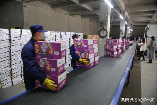 落户咨询 第383页