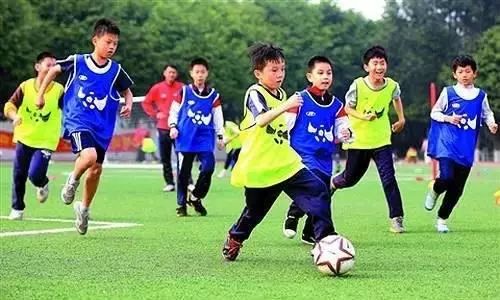 探寻小巷隐藏瑰宝,一家特色小店最新通知与英语资讯