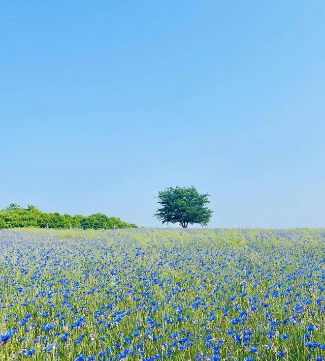 洛烟之旅,探寻自然美景,寻觅内心平和与喜悦的轻松之旅