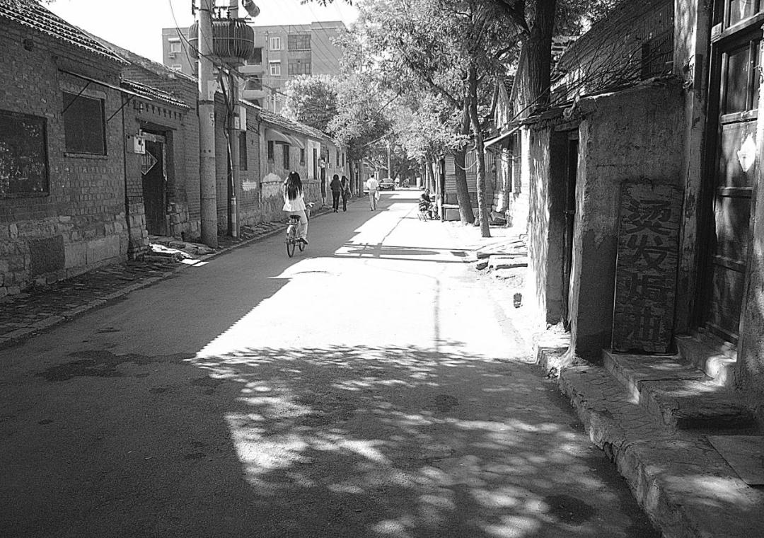 影视最新资讯,小巷深处的影视宝藏大揭秘