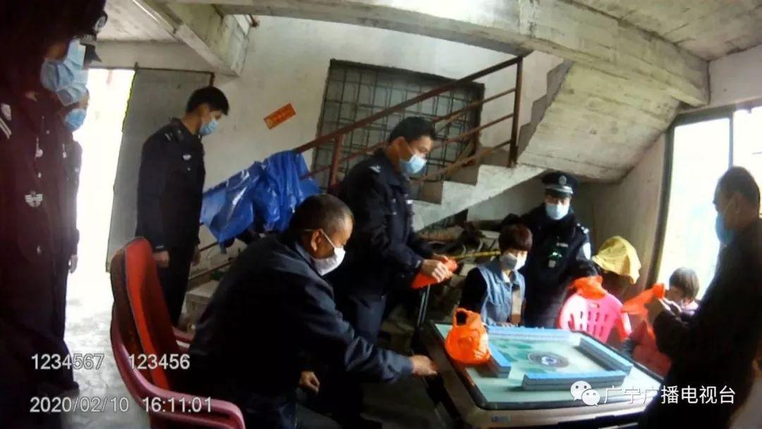 最新广宁新闻综述，全面解读广宁动态