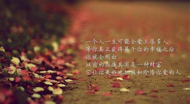 最新唯美语录，心灵深处的温暖与力量之源