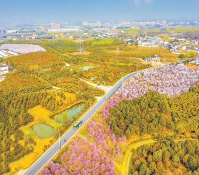 众兴乡新风貌，领略乡村最新魅力