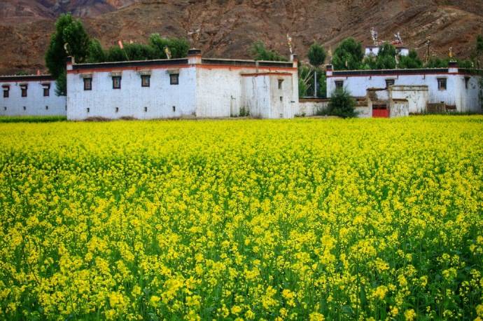 甘草膦最新价格及自然美景的旅行探索