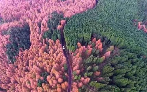 甘草膦最新价格及自然美景的旅行探索