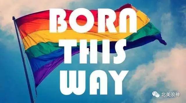 社会观念变迁下的多元视角,同性最新新闻报道