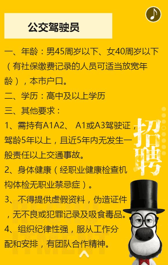 乌鲁木齐最新司机招聘详解，招聘步骤指南