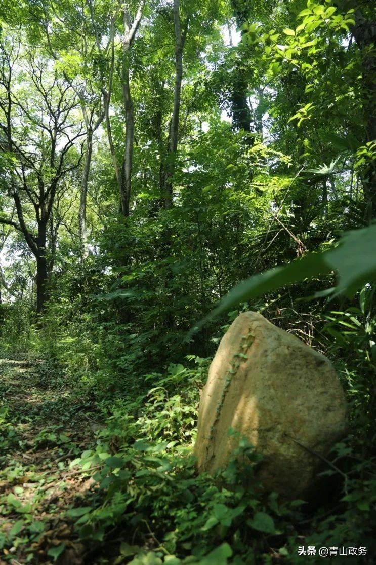 一站式落户 第322页