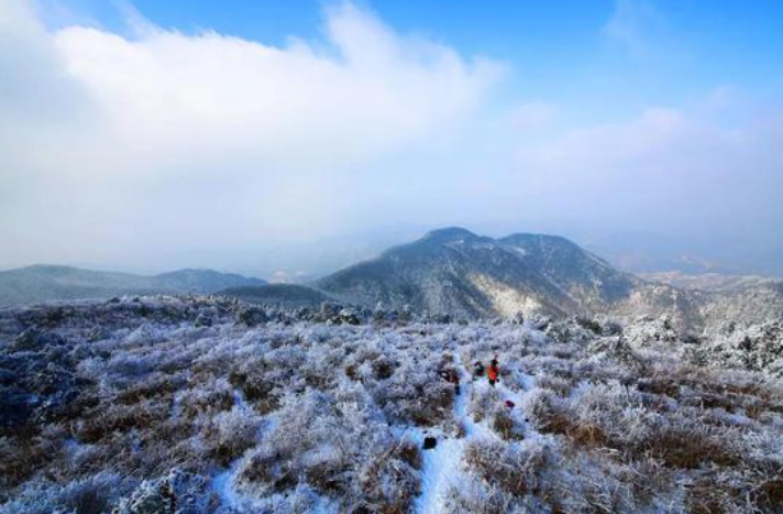 落户咨询 第363页