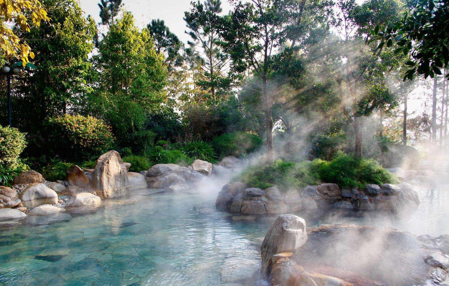 幼泉二十最新价格，友情与陪伴的温馨之旅回顾