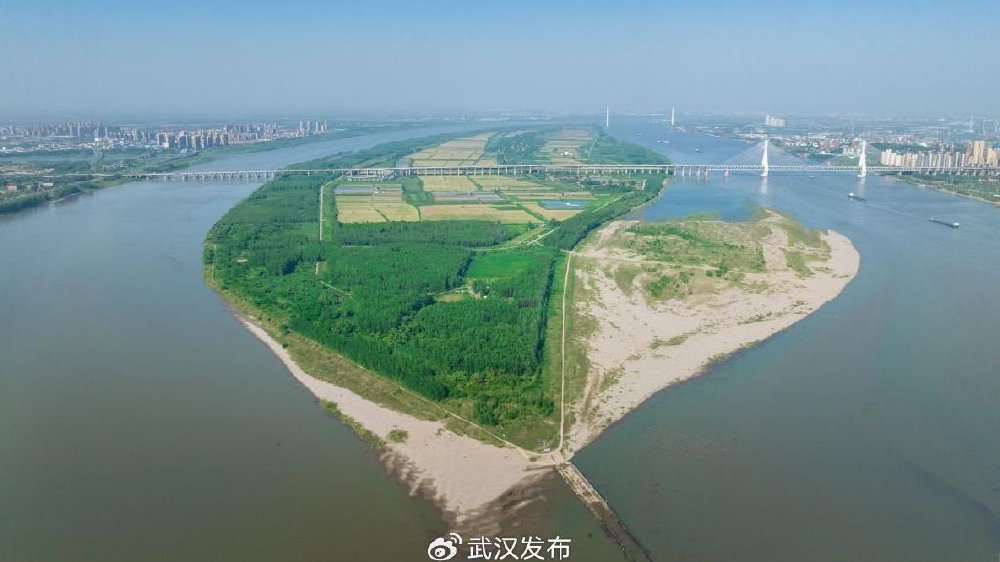天兴洲最新动态揭秘，最新进展与资讯速递