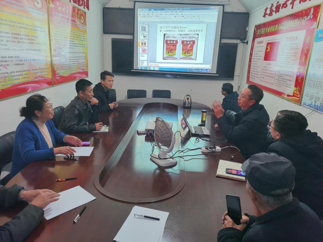 科技重塑山药产业,最新价格与未来生活体验新篇章