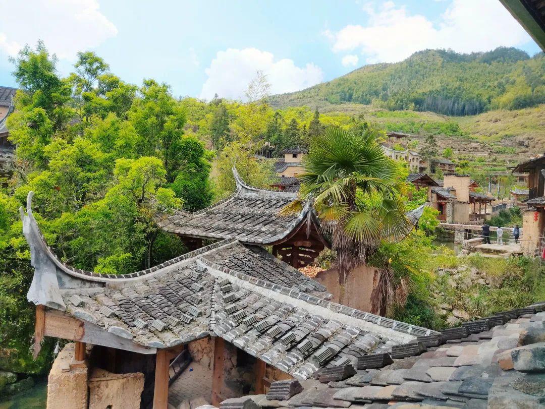 屏南蓬勃发展,最新小城动态更新报道