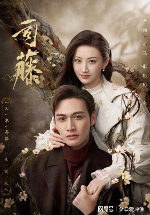 热门电视剧聚焦,深度解读最新热播剧集要素