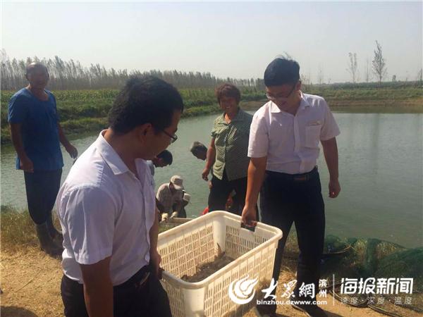 南美虾最新养殖技术揭秘与探索