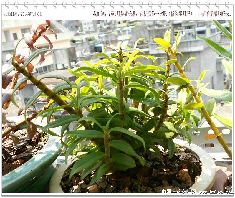 上海禾辉信息 第303页