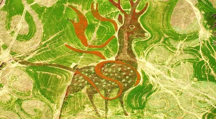 承德地图最新,承德地图最新，解读与观点阐述