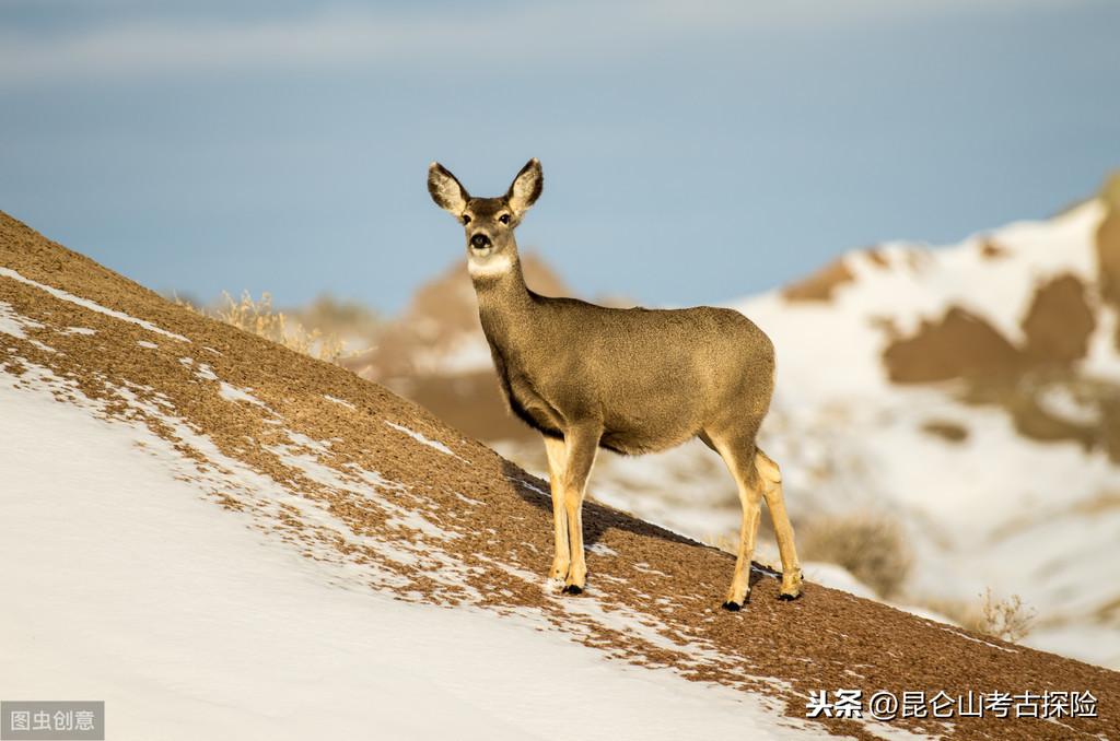 落户咨询 第345页