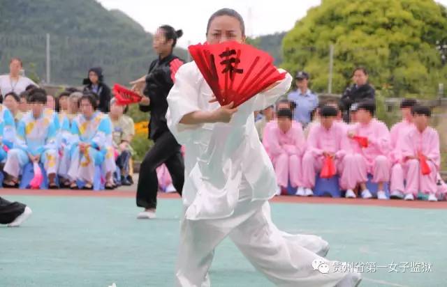 最新太极扇，舞动生活的温情纽带之美妙演绎