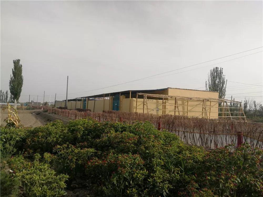 旋律中的日常趣事与友情纽带,最新音乐美文欣赏