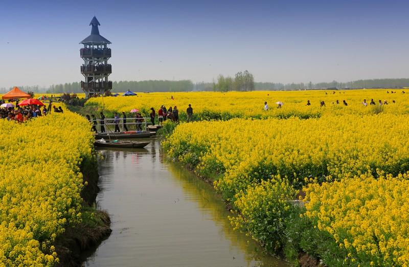 税收征管最新动态与心灵的自然美景之旅