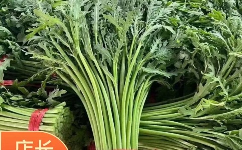 茼蒿价格行情更新,最新市场动态及价格走势分析