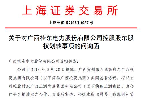 桂东电力最新公告详解，观点阐述与解析