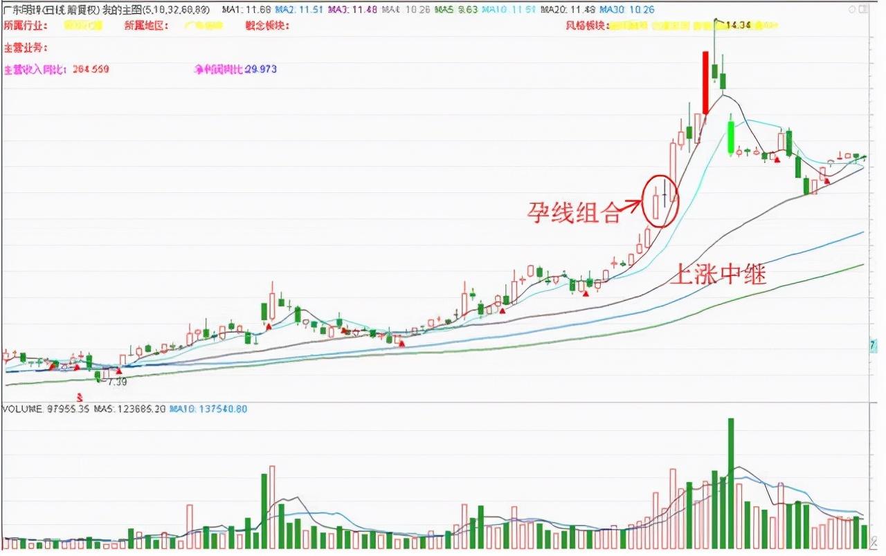君子猫最新小说及阅读攻略，零起点步骤指南