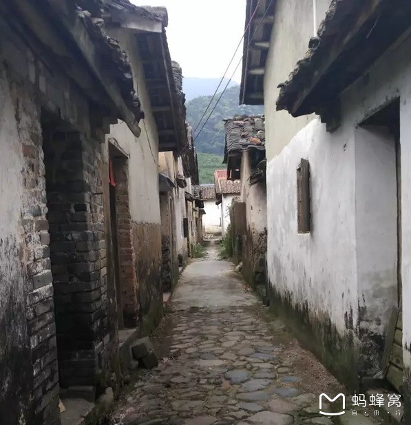 临潼最新项目，巷弄深处的独特风味探索之旅