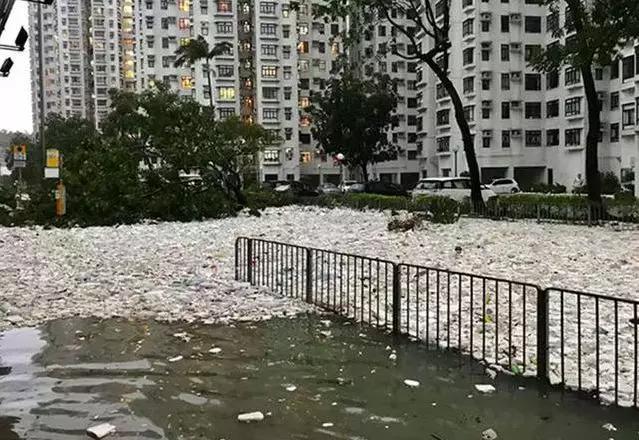 小山竹最新视频，领略大自然的独特魅力