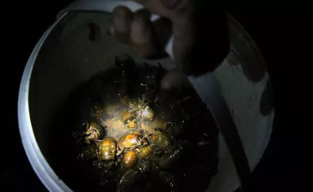 贝爷最新视频揭秘，小巷深处的隐藏美食宝藏