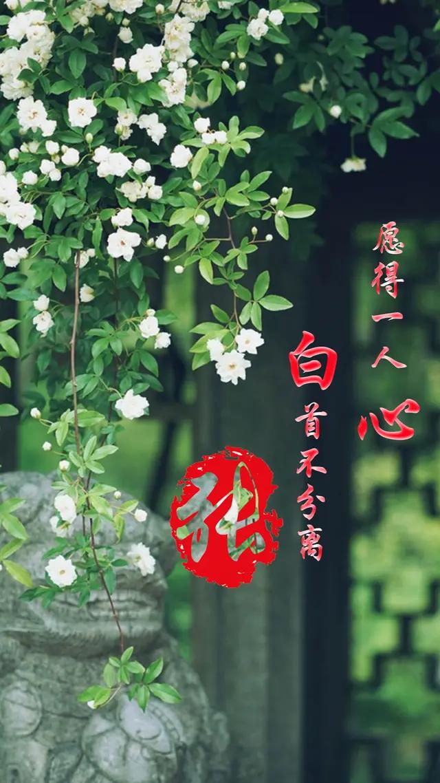 最新游戏壁纸,探索自然美景的奇妙之旅,寻找内心平和之地