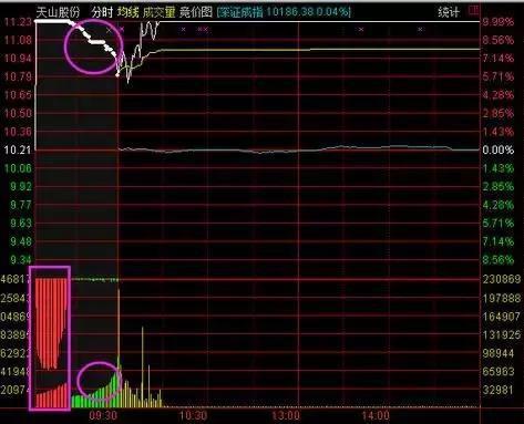 谷歌最新股价，与自然美景的心灵之旅，探寻内心的平和之道