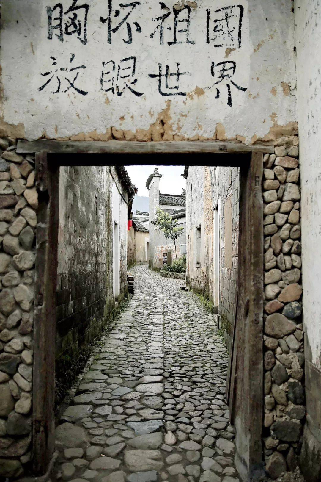 中图最新法揭秘，小巷中的美食宝藏探秘