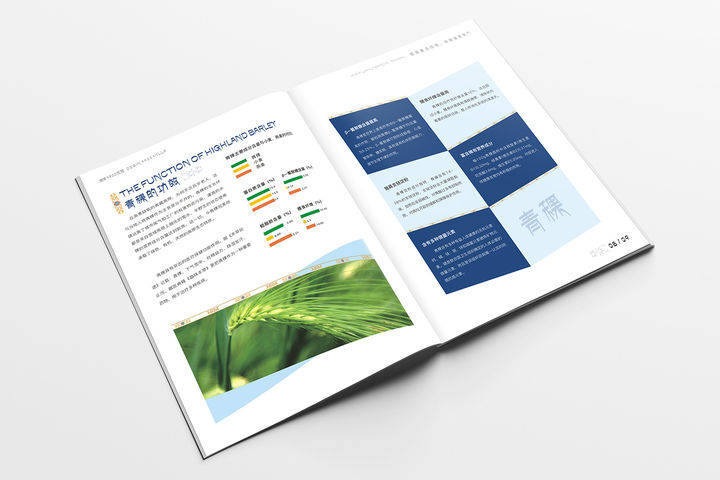 画册最新版制作指南，从步骤到成品的一站式指南